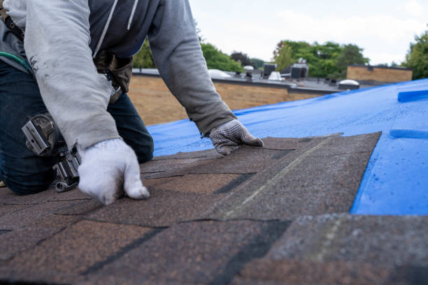 Best Flat Roof Repair Services  in Longview, WA