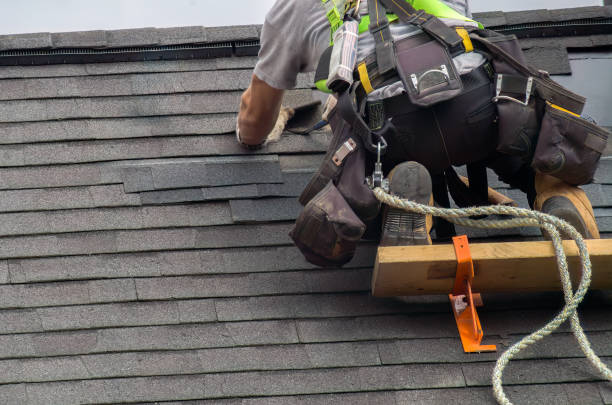 Best Storm Damage Roof Repair  in Longview, WA